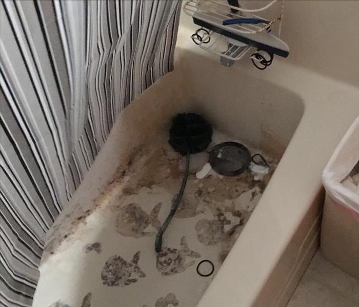 white bathtub with visible mold in bathroom from water damage in sacramento county near by, restoration companies near me edh