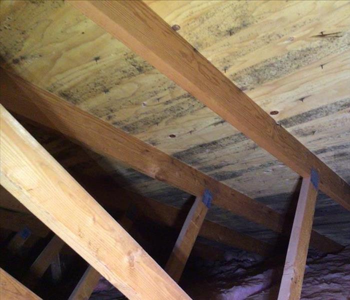 wood framework of attic with black mold, attic mold in volcano, attic mold with pink insulation, attic mold near me