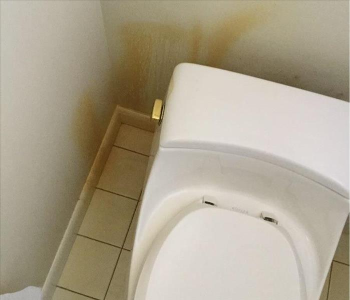 Toilet with water damage behind it